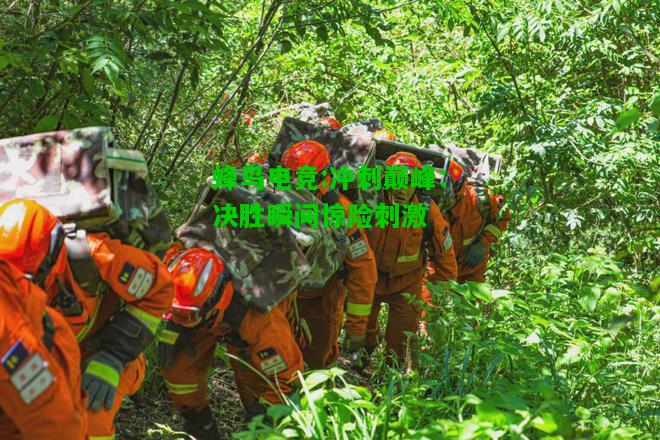 蜂鸟电竞:冲刺巅峰：决胜瞬间惊险刺激